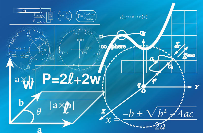 l'Istituto Tecnico Commerciale A.F.M.(Amministrazione Finanza e Marketing)